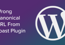 wrong canonical url from yoast plugin on wordpress