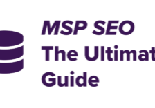 msp seo ultimate guide